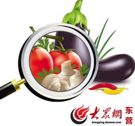 春節(jié)餐飲消費安全提示 東營市食藥監(jiān)局發(fā)布重要提醒